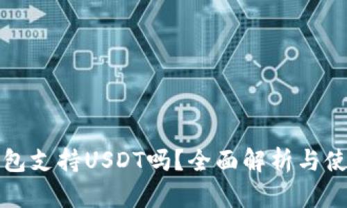 极客钱包支持USDT吗？全面解析与使用指南