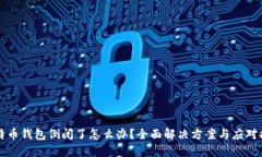比特币钱包倒闭了怎么办？全面解决方案与应对