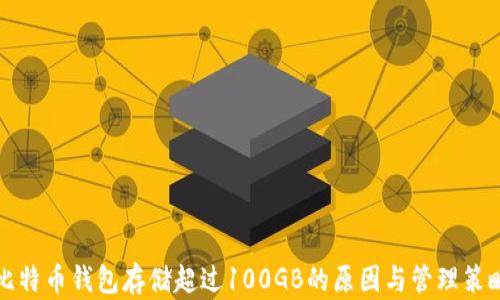 
比特币钱包存储超过100GB的原因与管理策略