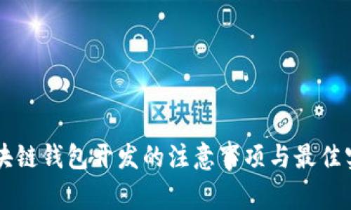 区块链钱包开发的注意事项与最佳实践