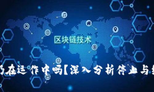 加密货币仍在运作中吗？深入分析停止与继续的真相