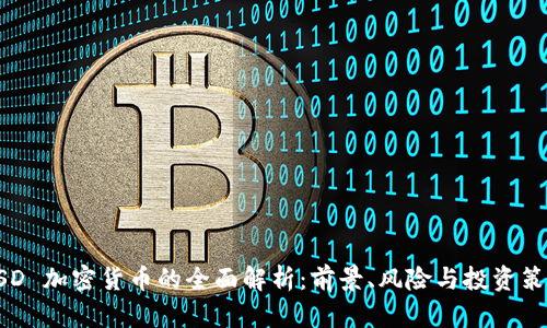 USD 加密货币的全面解析：前景、风险与投资策略