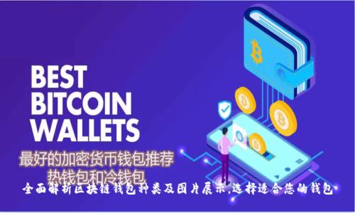 全面解析区块链钱包种类及图片展示，选择适合您的钱包