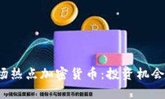 2023年市场热点加密货币：投资机会与风险分析