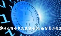 哪种比特币钱包最安全？全面分析与推荐