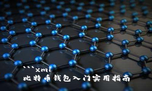 ```xml
比特币钱包入门实用指南
