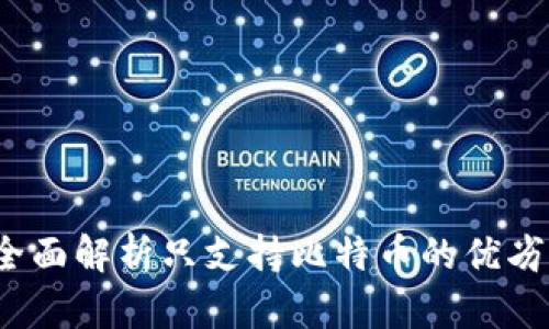 比太钱包：全面解析只支持比特币的优劣与使用指南