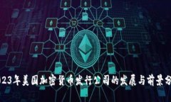 2023年美国加密货币发行公司的发展与前景分析