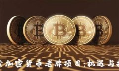   探索加密货币老牌项目：机遇与挑战
