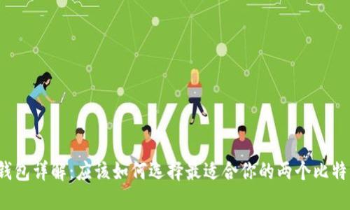 比特币钱包详解：应该如何选择最适合你的两个比特币钱包？