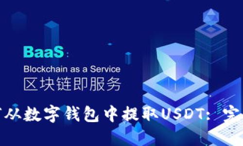 : 如何从数字钱包中提取USDT: 完整指南