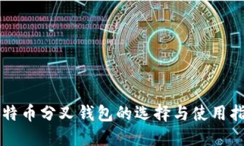 比特币分叉钱包的选择与使用指南
