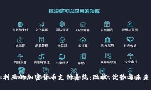 保加利亚的加密货币支付系统：现状、优势与未来展望