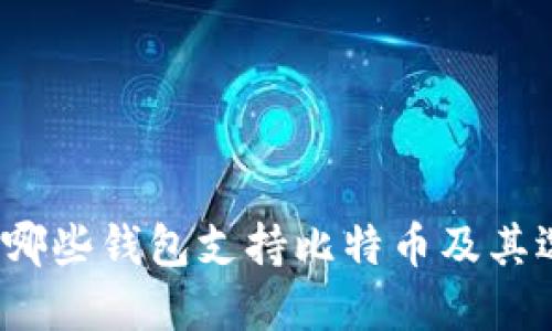 2023年哪些钱包支持比特币及其选择指南