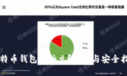 比特币钱包是什么？使用与安全指南