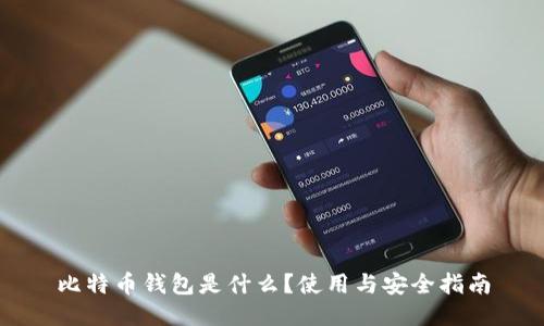 比特币钱包是什么？使用与安全指南