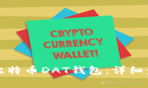 如何恢复比特币DAT钱包：详细步骤与技巧