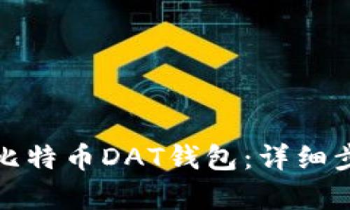 如何恢复比特币DAT钱包：详细步骤与技巧