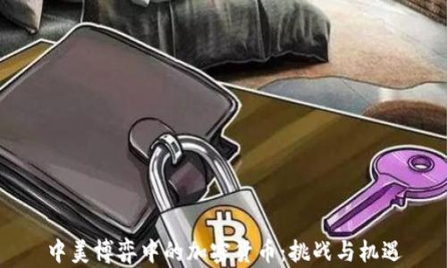 
中美博弈中的加密货币：挑战与机遇