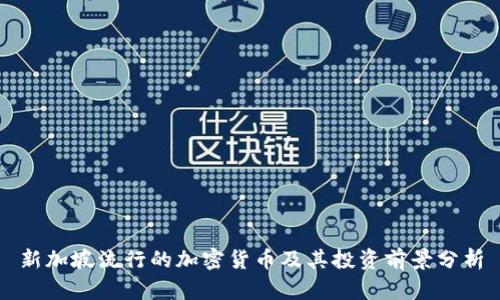 新加坡流行的加密货币及其投资前景分析