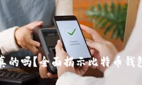 比特币钱包是真的吗？全面揭示比特币钱包的真相与选择