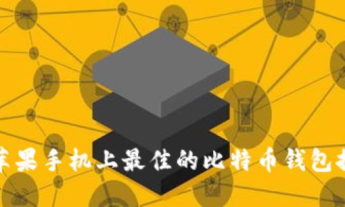 在苹果手机上最佳的比特币钱包推荐
