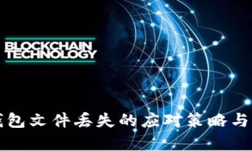 比特币钱包文件丢失的应对策略与恢复指南