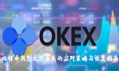 比特币钱包文件丢失的应对策略与恢复指南