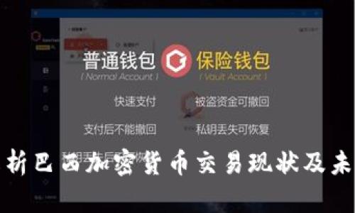 全面解析巴西加密货币交易现状及未来发展