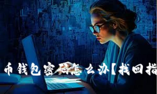 忘记比特币钱包密码怎么办？找回指南和技巧