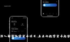 深入解析加密货币项目：未来的数字货币趋势
