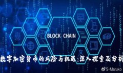 数字加密货币的风险与机遇：深入探索及分析