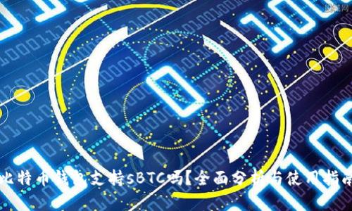 比特币钱包支持sBTC吗？全面分析与使用指南