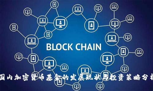 国内加密货币基金的发展现状与投资策略分析
