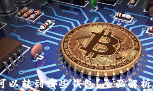 
USDT可以转到哪些钱包？全面解析及推荐