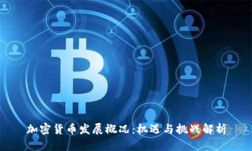 加密货币发展概况：机遇与挑战解析