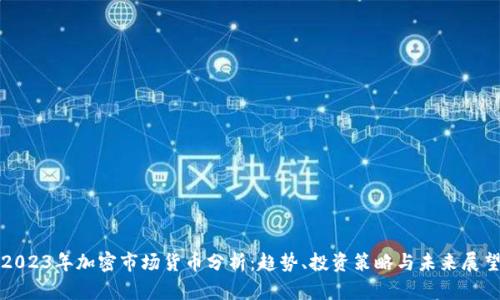 2023年加密市场货币分析：趋势、投资策略与未来展望