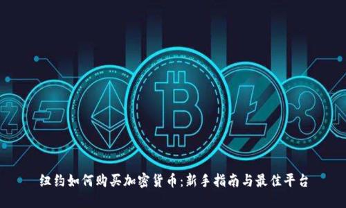 纽约如何购买加密货币：新手指南与最佳平台