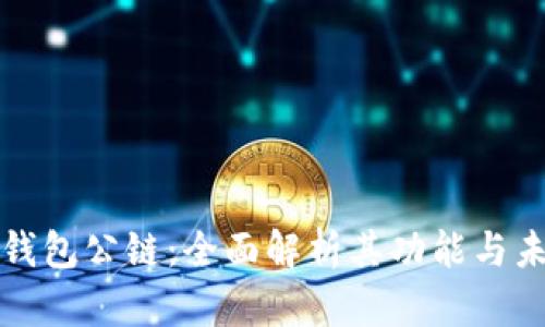 区块链钱包公链：全面解析其功能与未来趋势