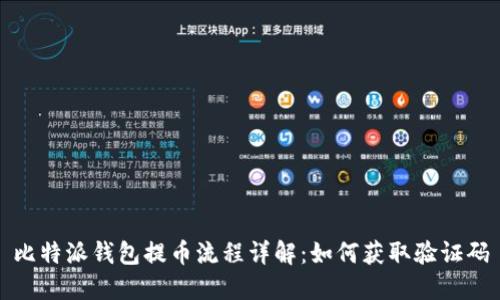 比特派钱包提币流程详解：如何获取验证码
