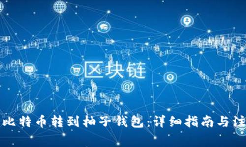 如何将比特币转到柚子钱包：详细指南与注意事项