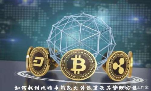
如何找到比特币钱包文件位置及其管理方法