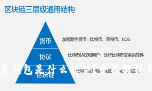 区块链智慧钱包是什么软件？全面解析与使用指南