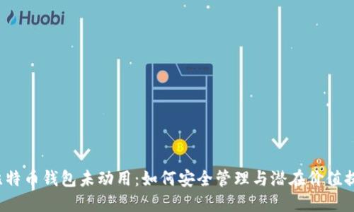  比特币钱包未动用：如何安全管理与潜在价值提升