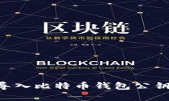 如何安全导入比特币钱包公钥：完整指南