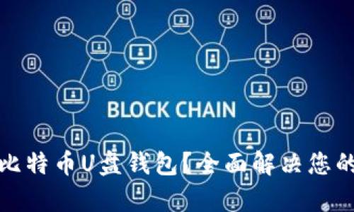 如何安全使用比特币U盘钱包？全面解决您的安全存储需求