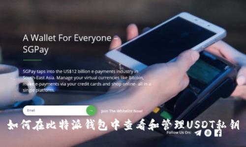 如何在比特派钱包中查看和管理USDT私钥