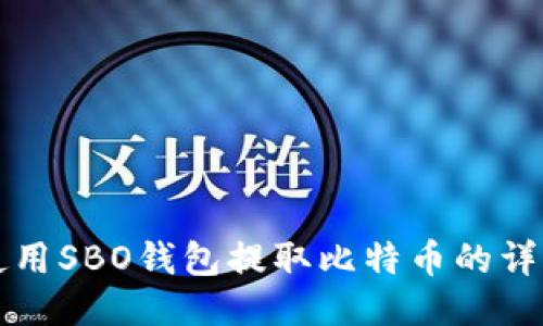 如何使用SBO钱包提取比特币的详细指南