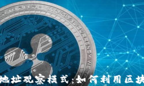 
探索区块链的钱包地址观察模式：如何利用区块链提高财务透明度