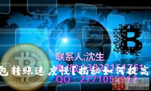 以太坊钱包转账速度慢？揭秘如何提高交易效率！